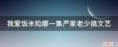 我爱饭米粒哪一集严家老少搞文艺