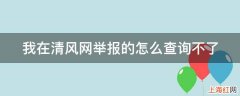 我在清风网举报的怎么查询不了