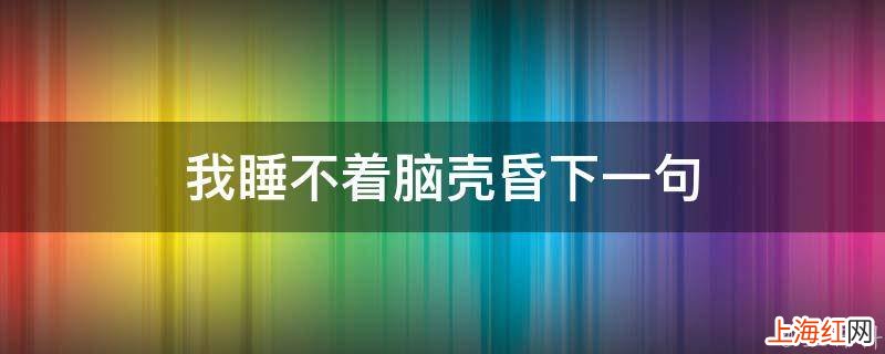 我睡不着脑壳昏下一句