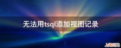 无法用tsql添加视图记录