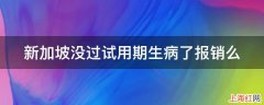 新加坡没过试用期生病了报销么