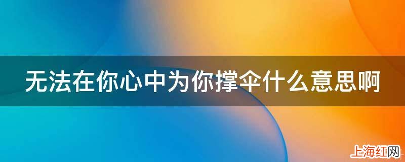 无法在你心中为你撑伞什么意思啊