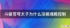 斗破苍穹太子为什么没被魂殿控制