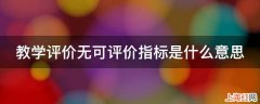 教学评价无可评价指标是什么意思