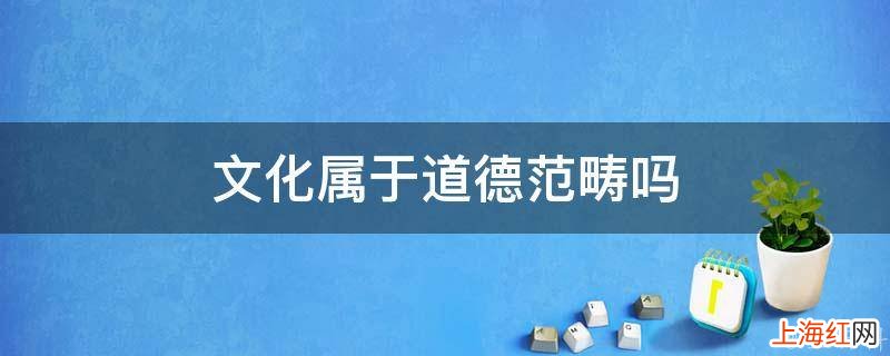 文化属于道德范畴吗