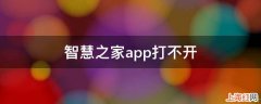 智慧之家app打不开