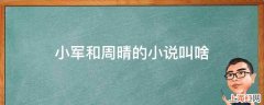 小军和周晴的小说叫啥