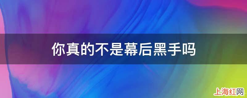 你真的不是幕后黑手吗