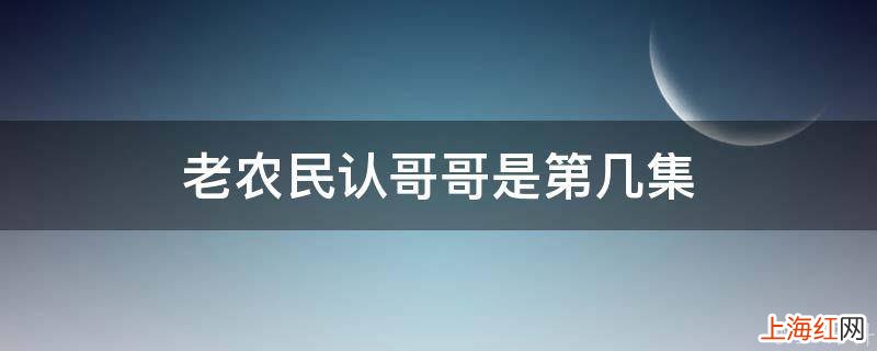 老农民认哥哥是第几集