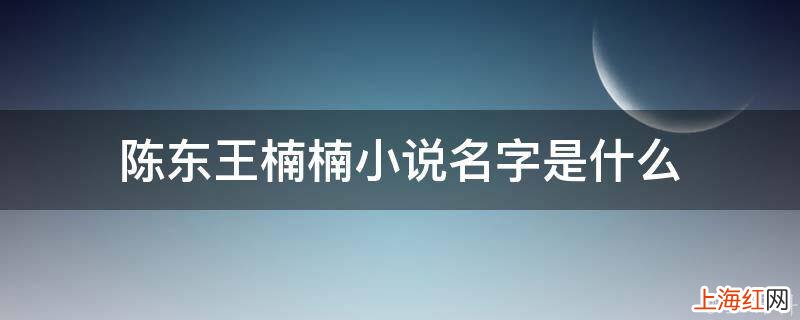 陈东王楠楠小说名字是什么