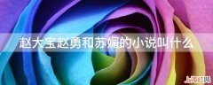 赵大宝赵勇和苏媚的小说叫什么