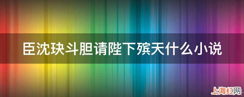 臣沈玦斗胆请陛下殡天什么小说