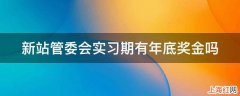 新站管委会实习期有年底奖金吗