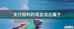 支付股利的现金流出属于