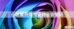 小区里开淘气堡物业会管吗