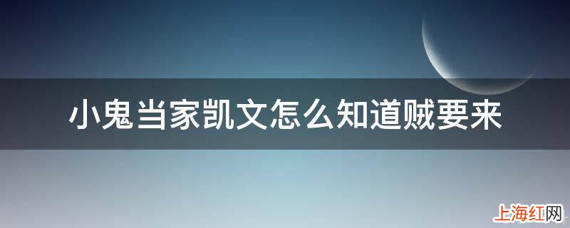 小鬼当家凯文怎么知道贼要来