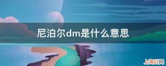 尼泊尔dm是什么意思