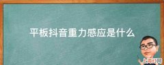 平板抖音重力感应是什么