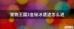 宠物王国3金秘冰遗迹怎么进