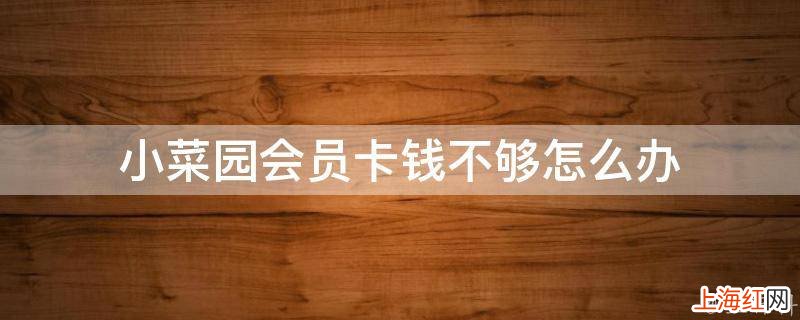 小菜园会员卡钱不够怎么办