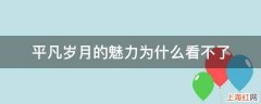 平凡岁月的魅力为什么看不了