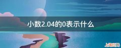 小数2.04的0表示什么