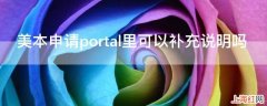 美本申请portal里可以补充说明吗