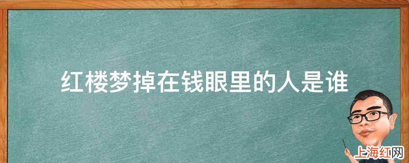 红楼梦掉在钱眼里的人是谁