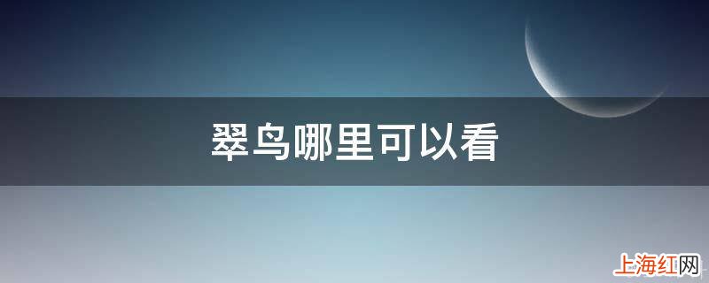 翠鸟哪里可以看