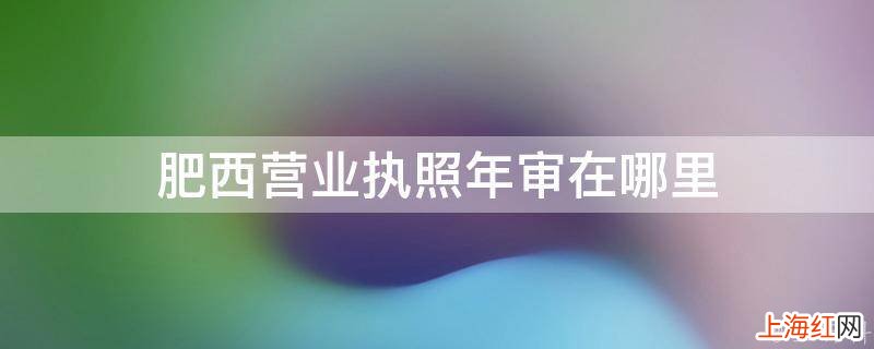 肥西营业执照年审在哪里