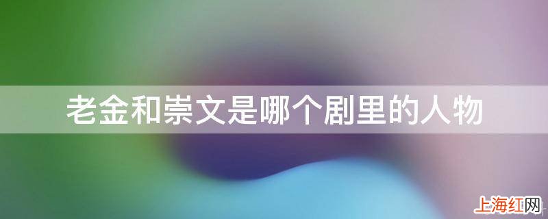 老金和崇文是哪个剧里的人物