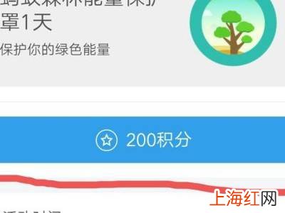 支付宝保护罩如何得到