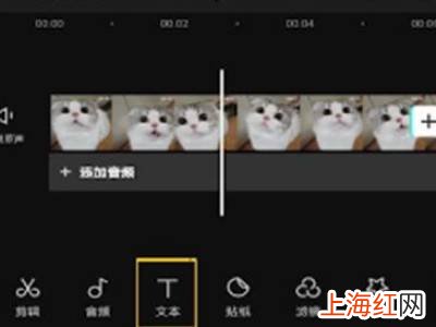 剪映怎么提取音频字幕