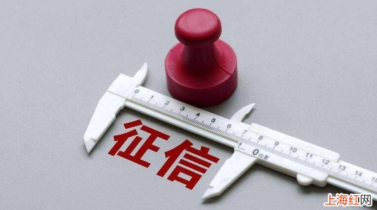 查征信在哪查