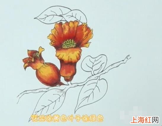 石榴花简笔画怎么画