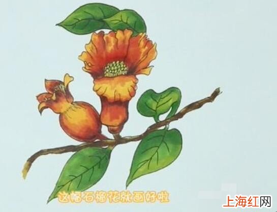 石榴花简笔画怎么画