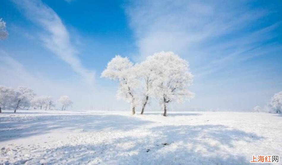 看雪最好的地方有哪些