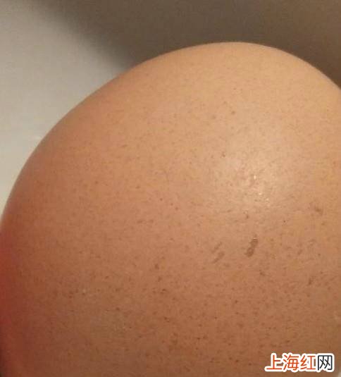 24小时饮食减肥计划早上吃啥减肥