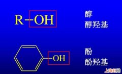 醇羟基和酚羟基的区别是什么