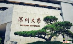 深圳大学什么专业好