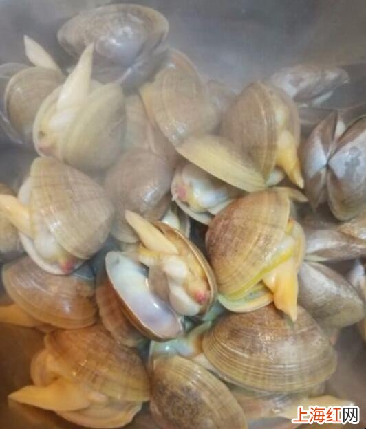 如何制作海蚬蒸蛋