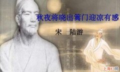 《秋夜将晓出篱门迎凉有感二首》表达作者什么样的感情