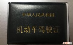 支付宝驾驶证可以代替实体吗