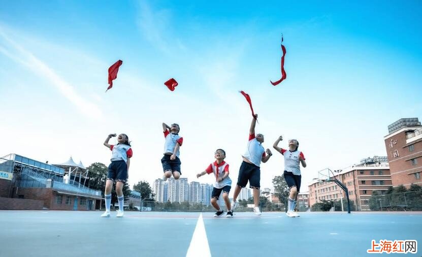 公办学校和民办学校有什么区别