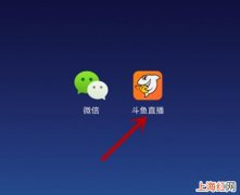 斗鱼怎么回看完整直播