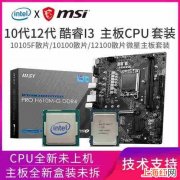 i38100和i310100用同样的主板吗