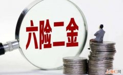 两金是哪两金