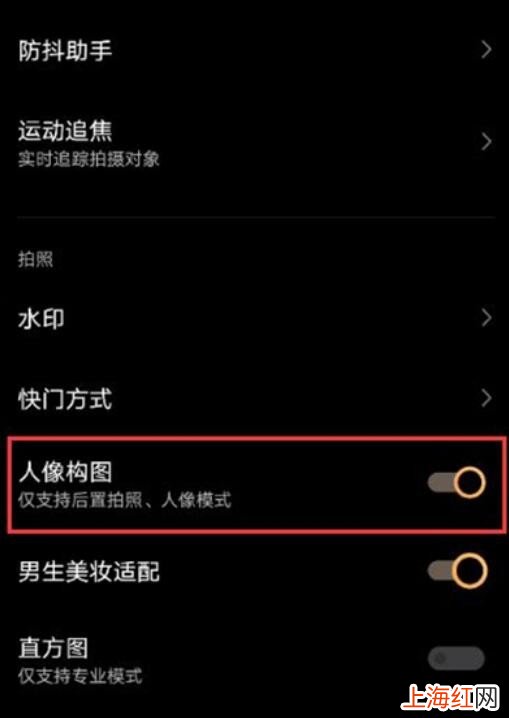 vivox60怎么设置人像构图