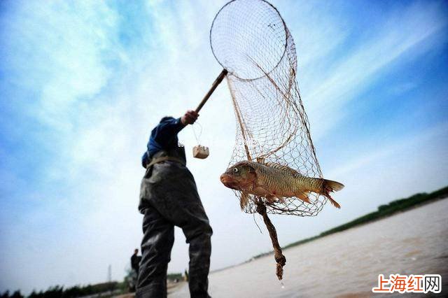 为啥黄河水清了鱼虾却少了