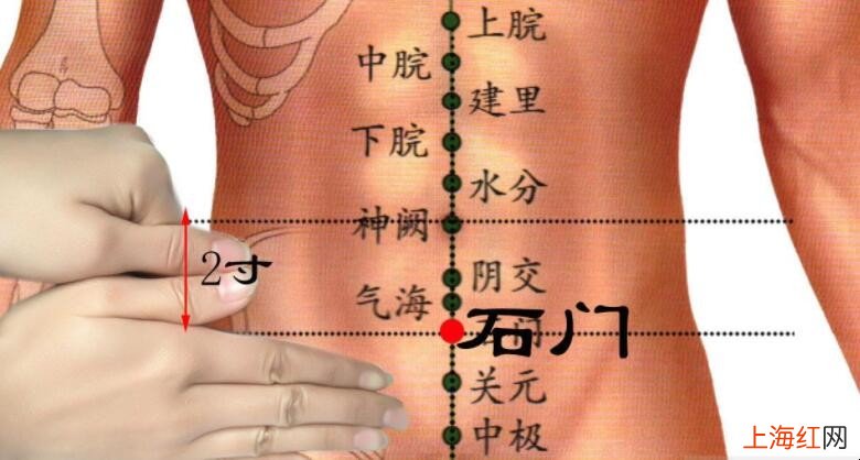 中腕穴在什么位置